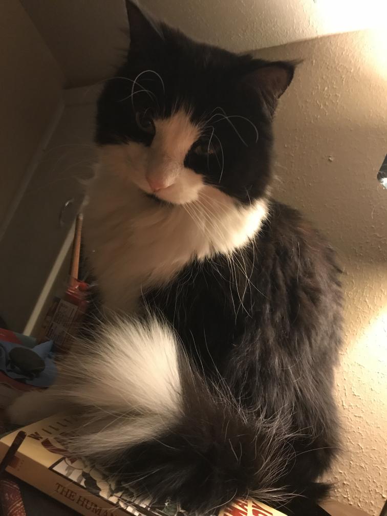 click for larger size