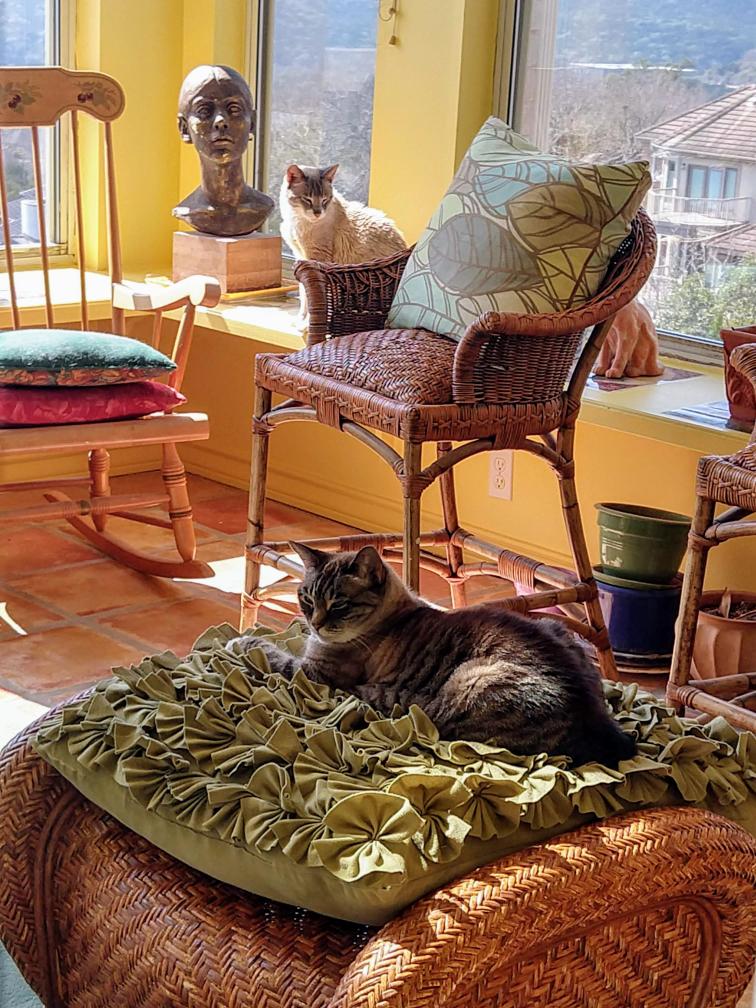 click for larger size