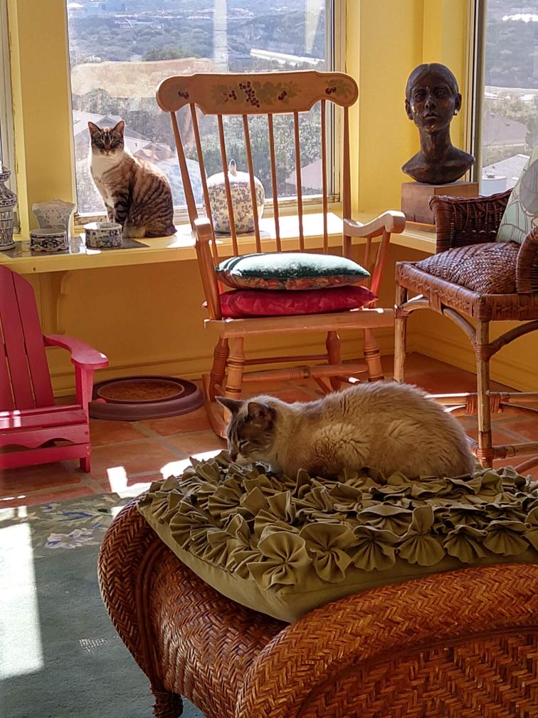 click for larger size