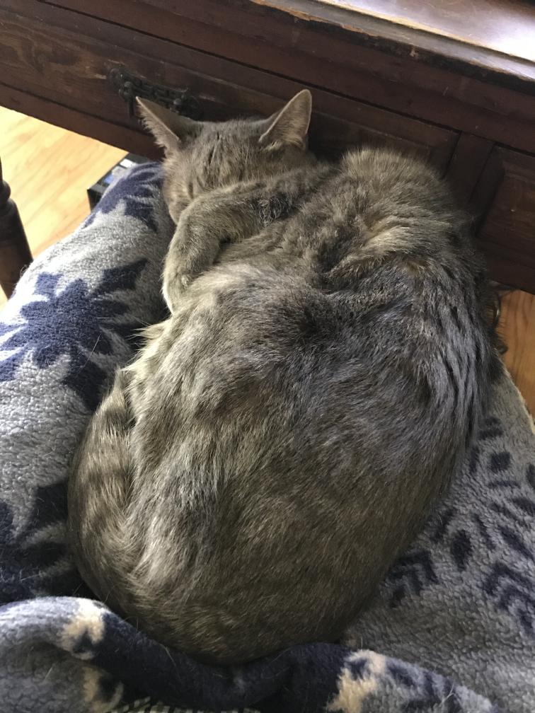 click for larger size