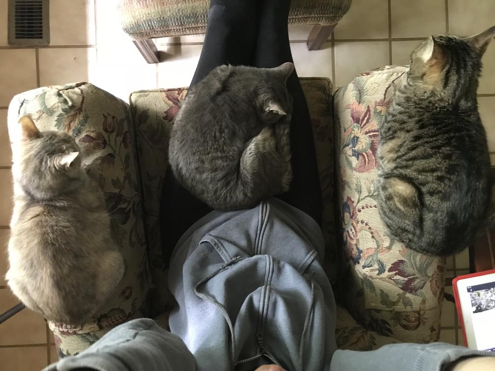 click for larger size