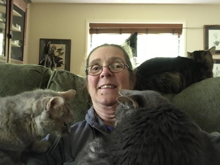 click for larger size