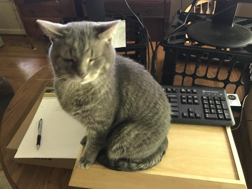 click for larger size