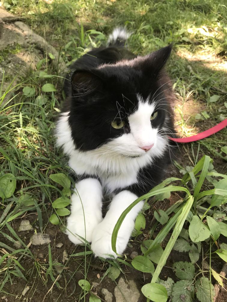 click for larger size