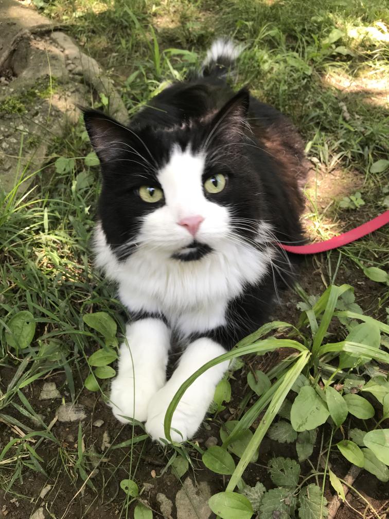 click for larger size