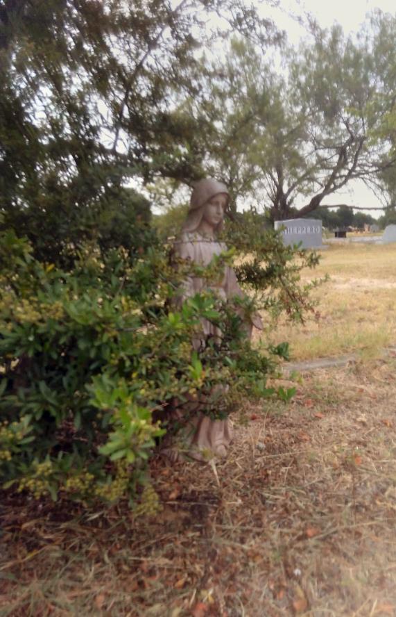 click for larger size