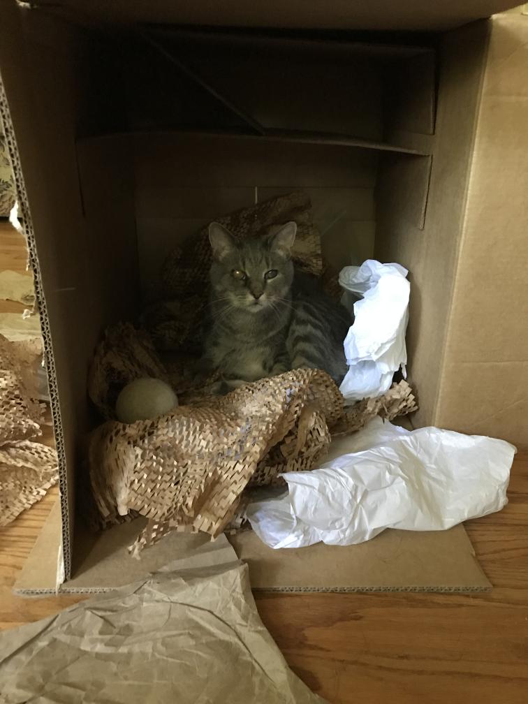 click for larger size