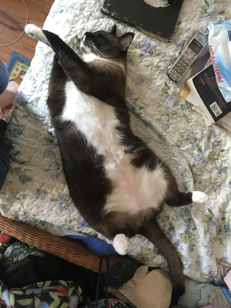 click for larger size