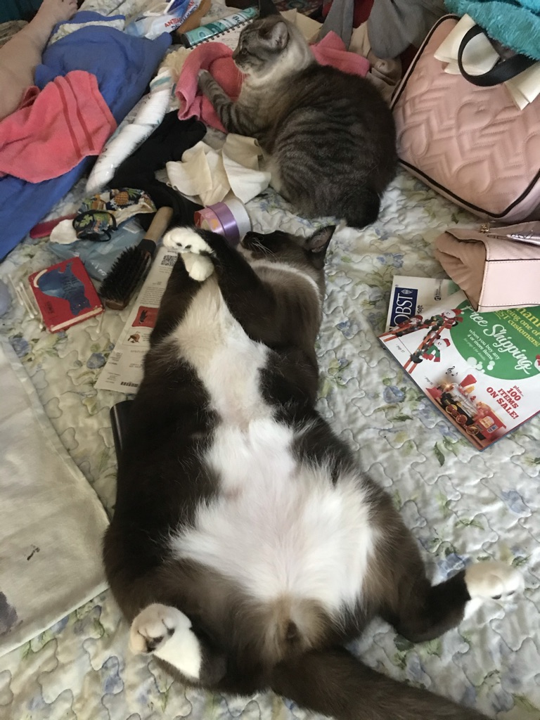 click for larger size