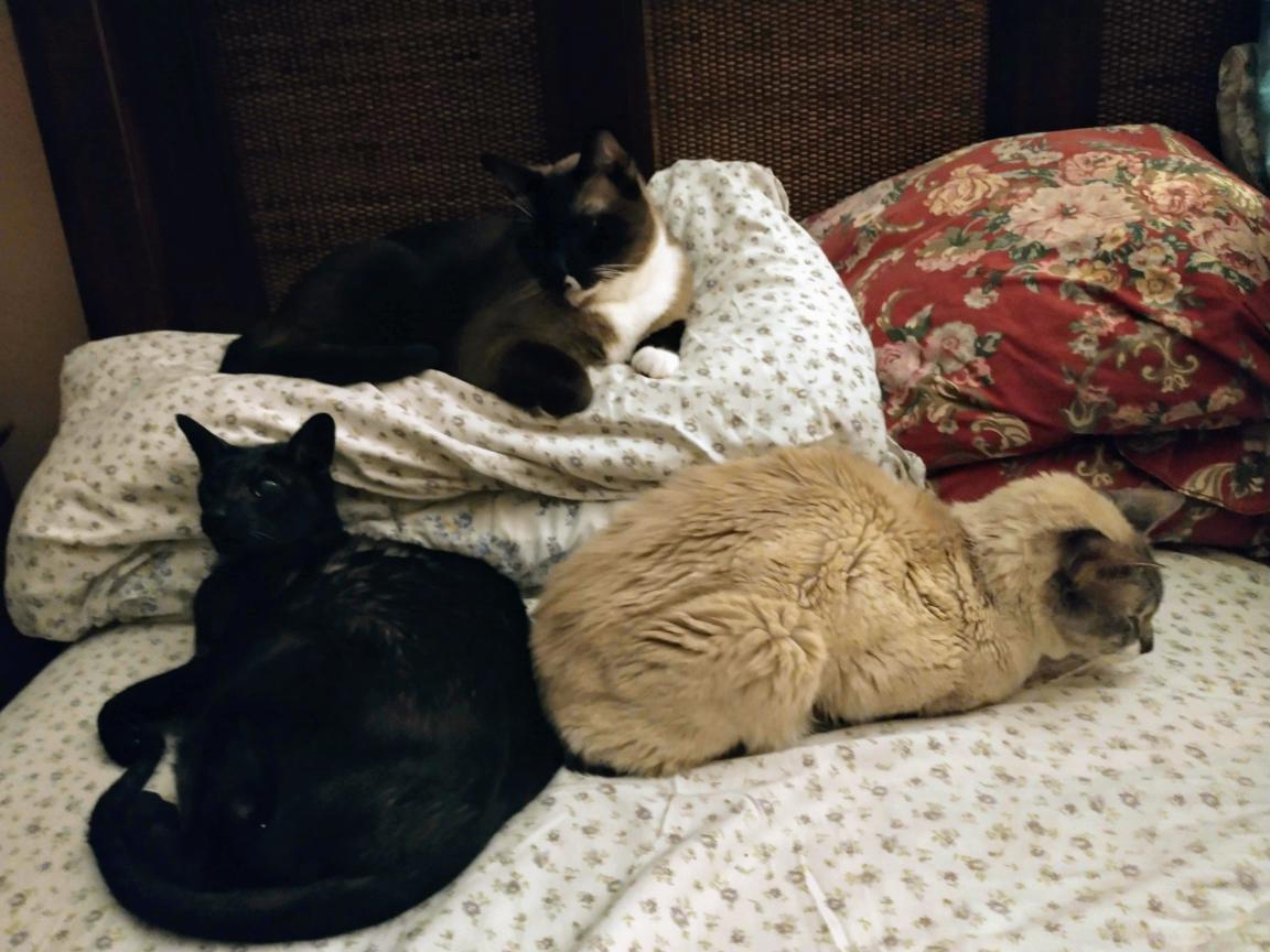 click for larger size