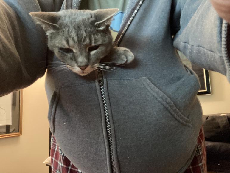 click for larger size