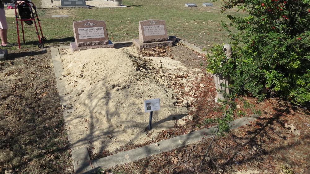 click for larger size