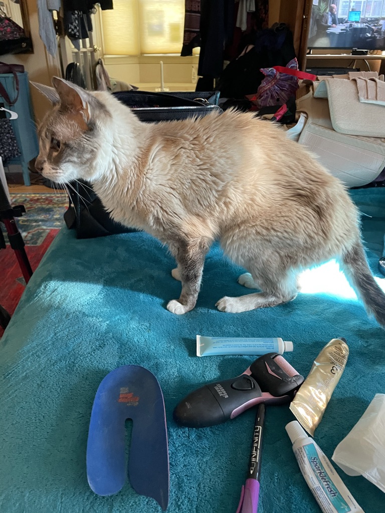 click for larger size