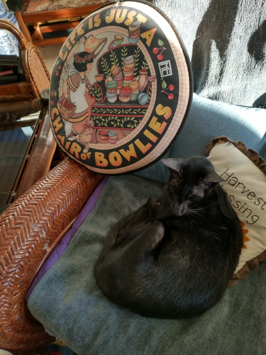 click for larger size