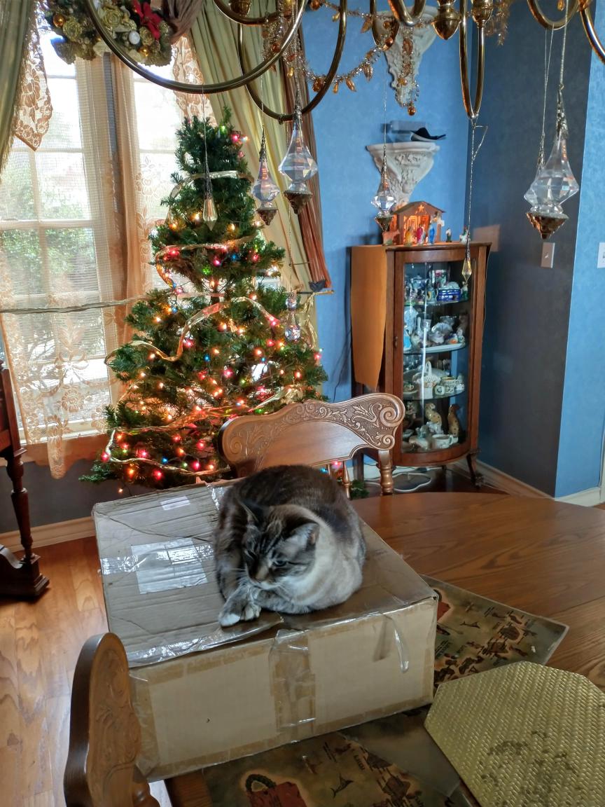 click for larger size