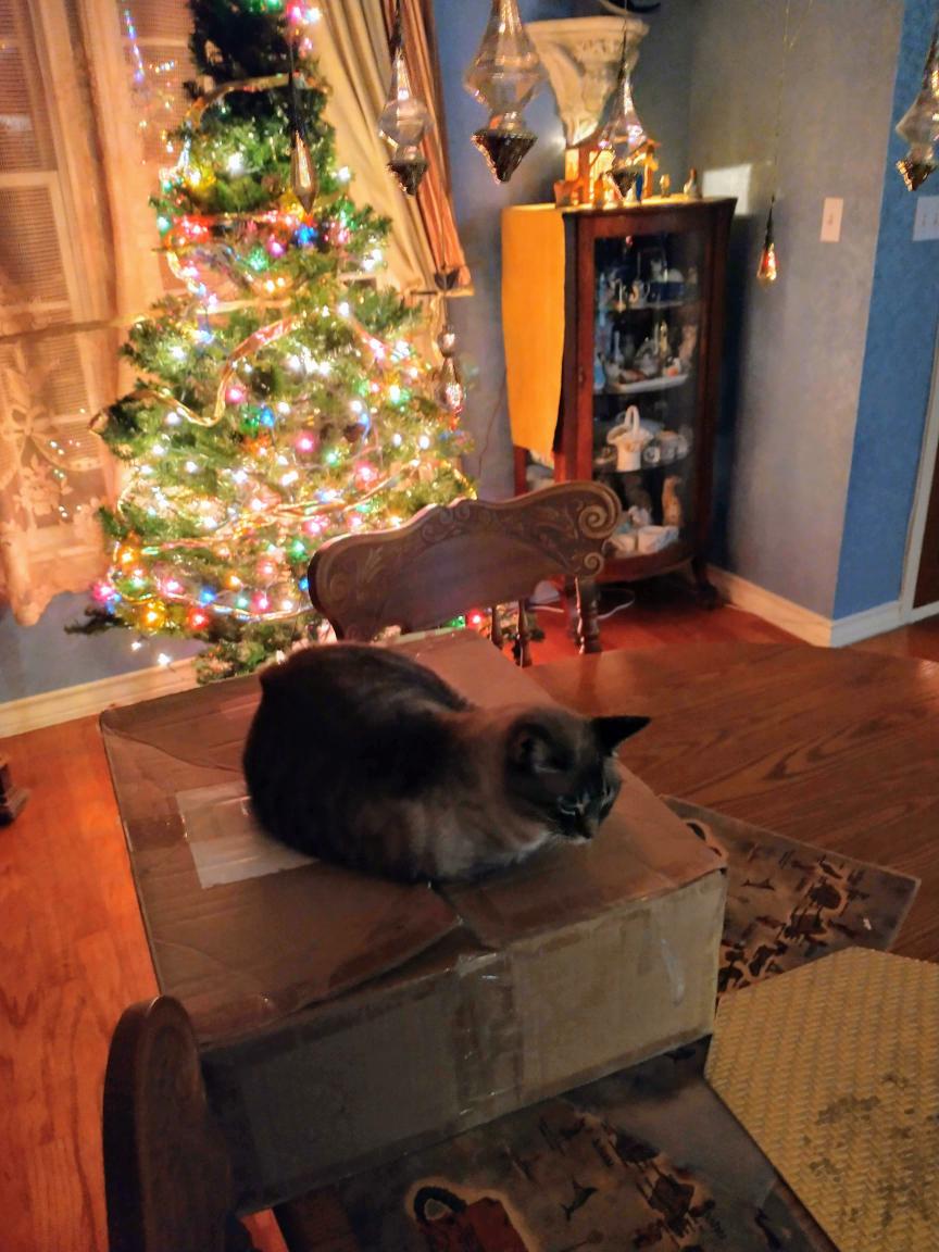 click for larger size