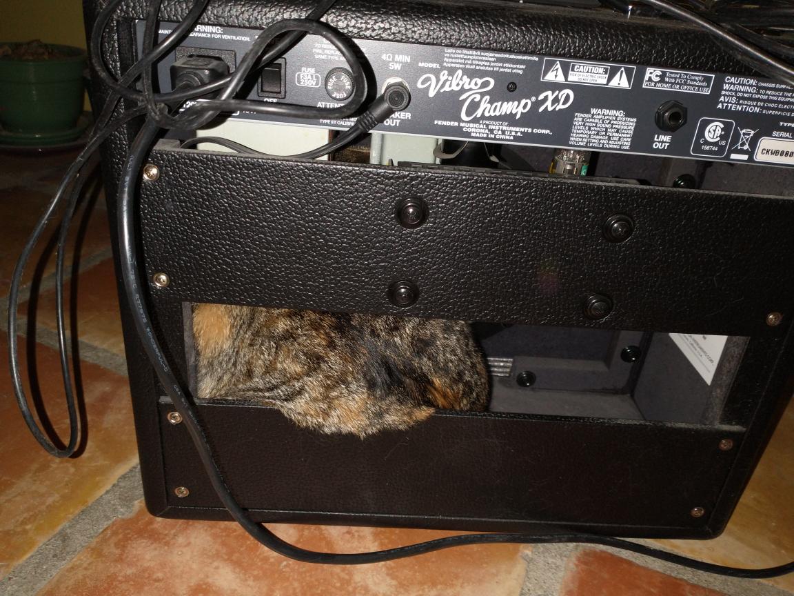 click for larger size