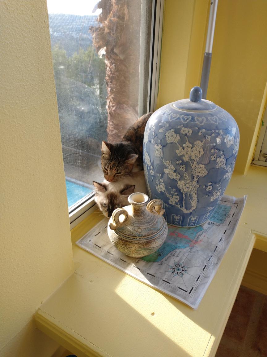 click for larger size