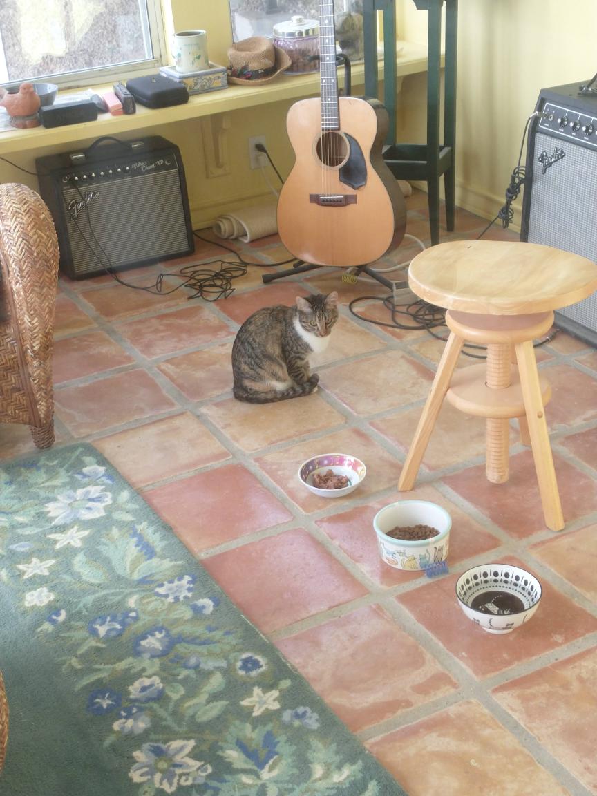 click for larger size