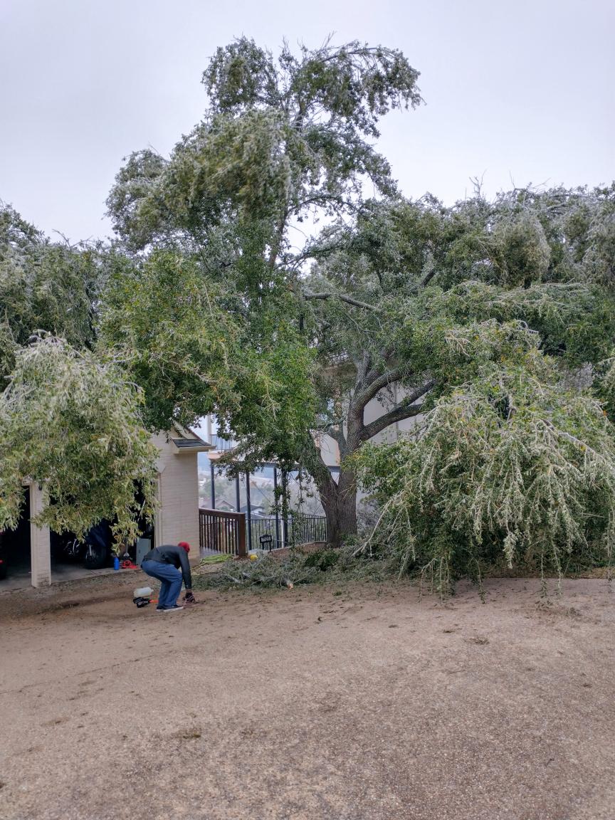 click for larger size