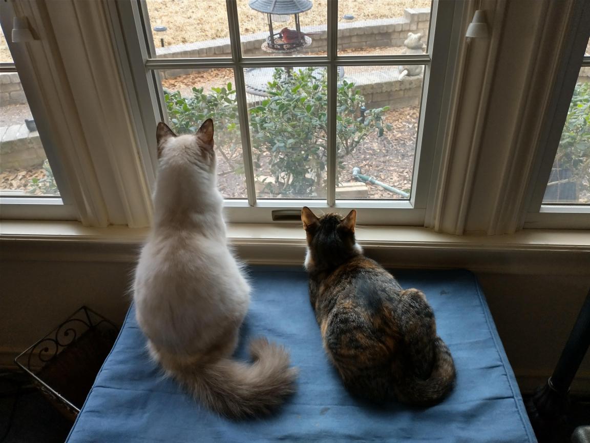 click for larger size