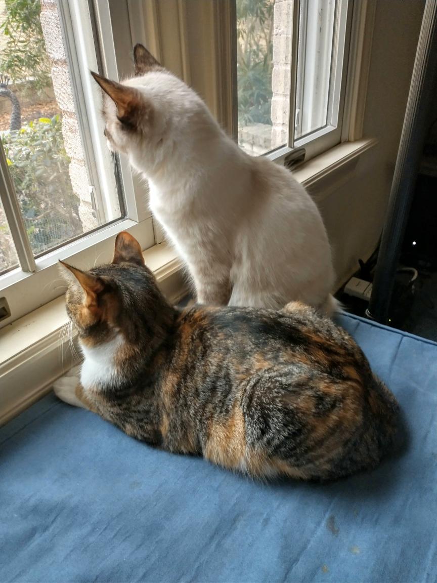 click for larger size