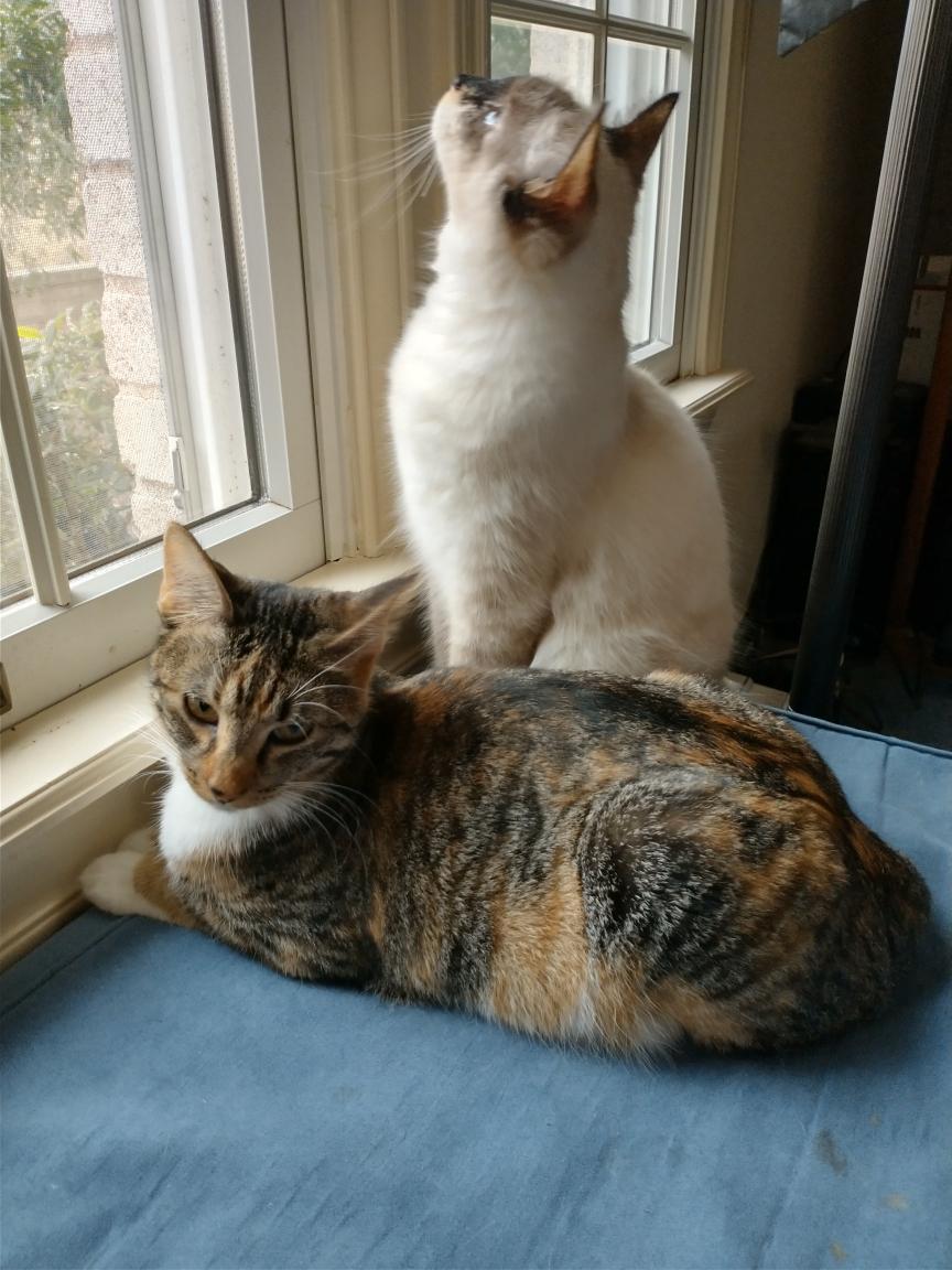 click for larger size