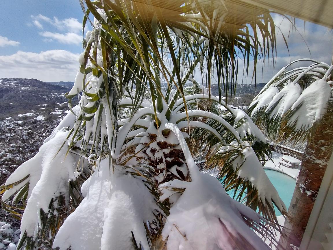 click for larger size