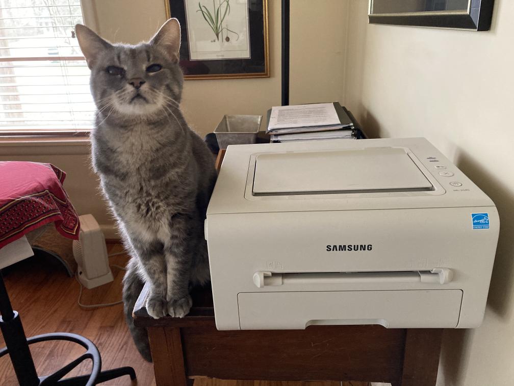 click for larger size