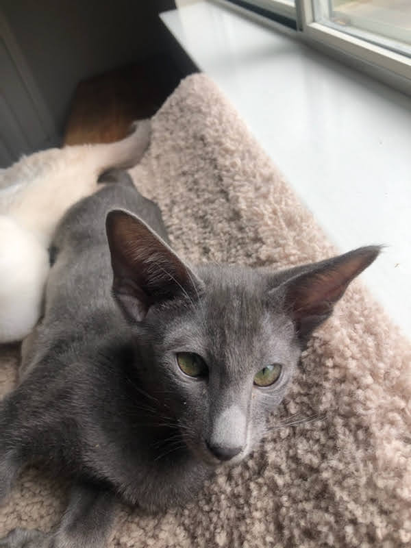 click for larger size