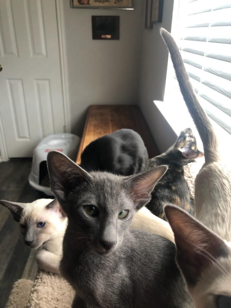 click for larger size