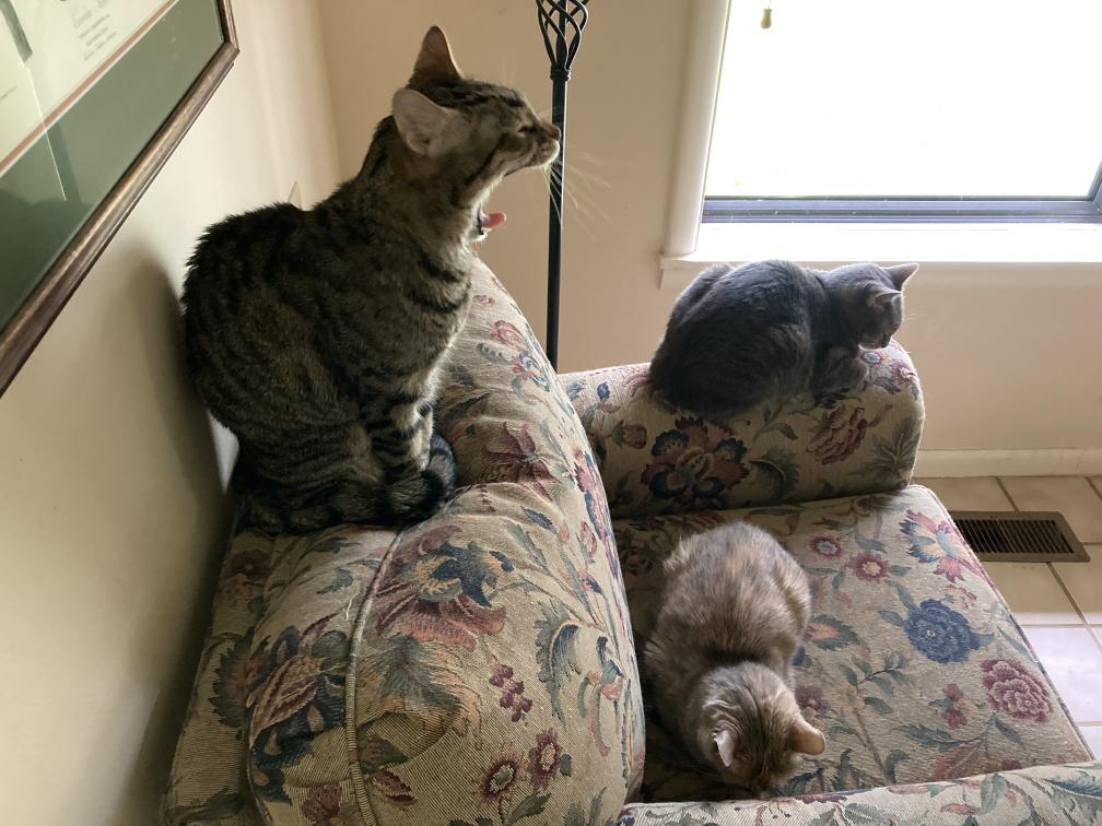 click for larger size