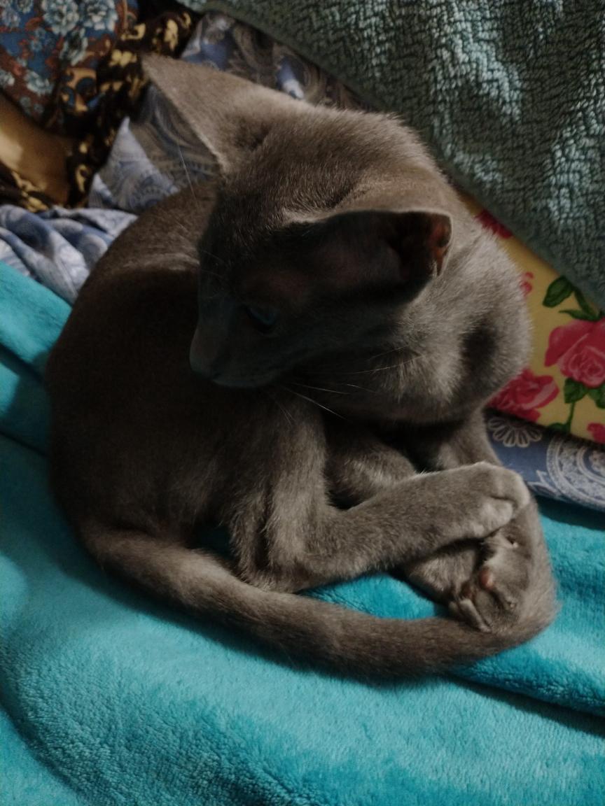 click for larger size