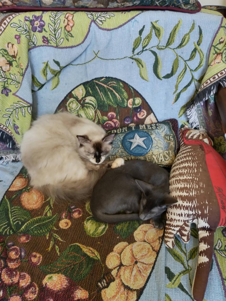 click for larger size