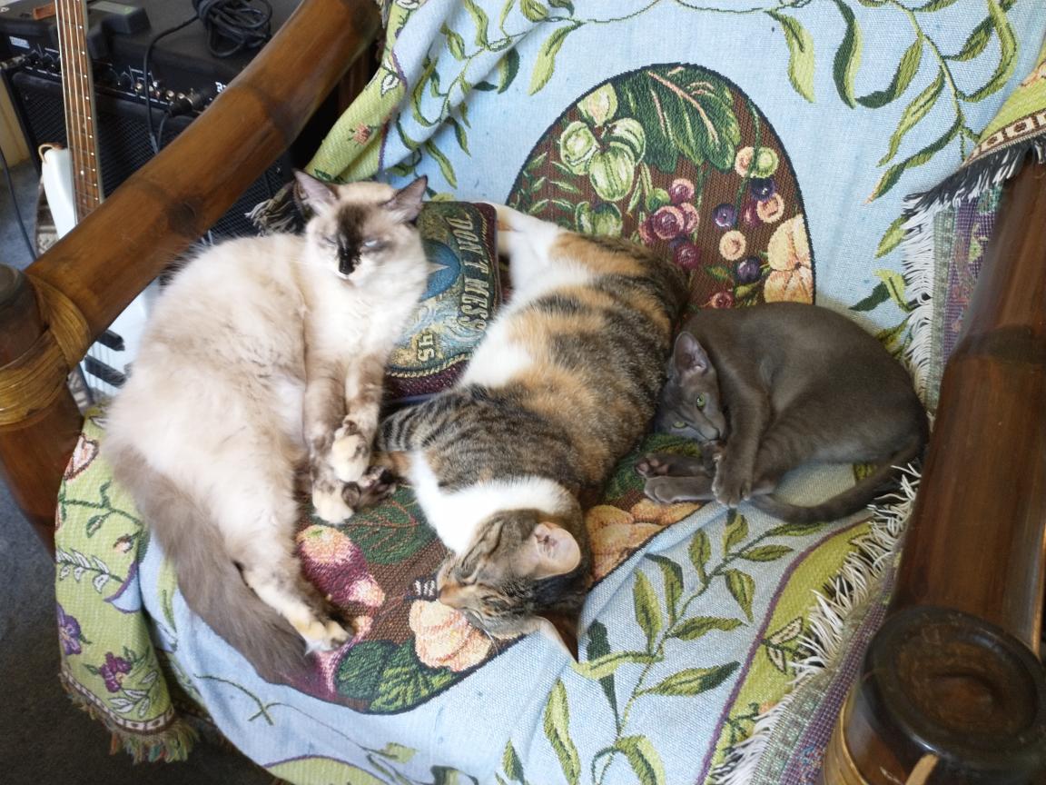 click for larger size