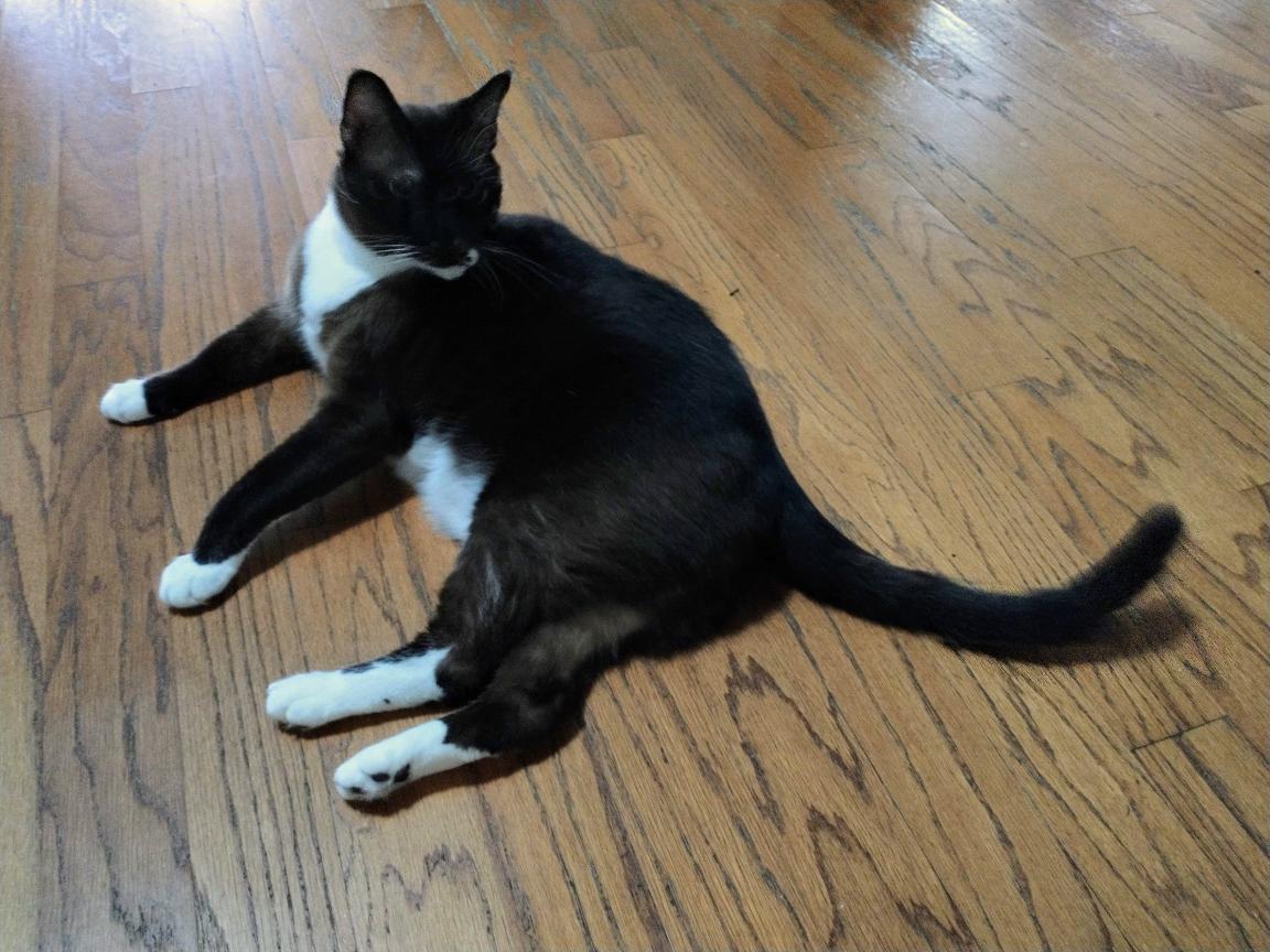 click for larger size