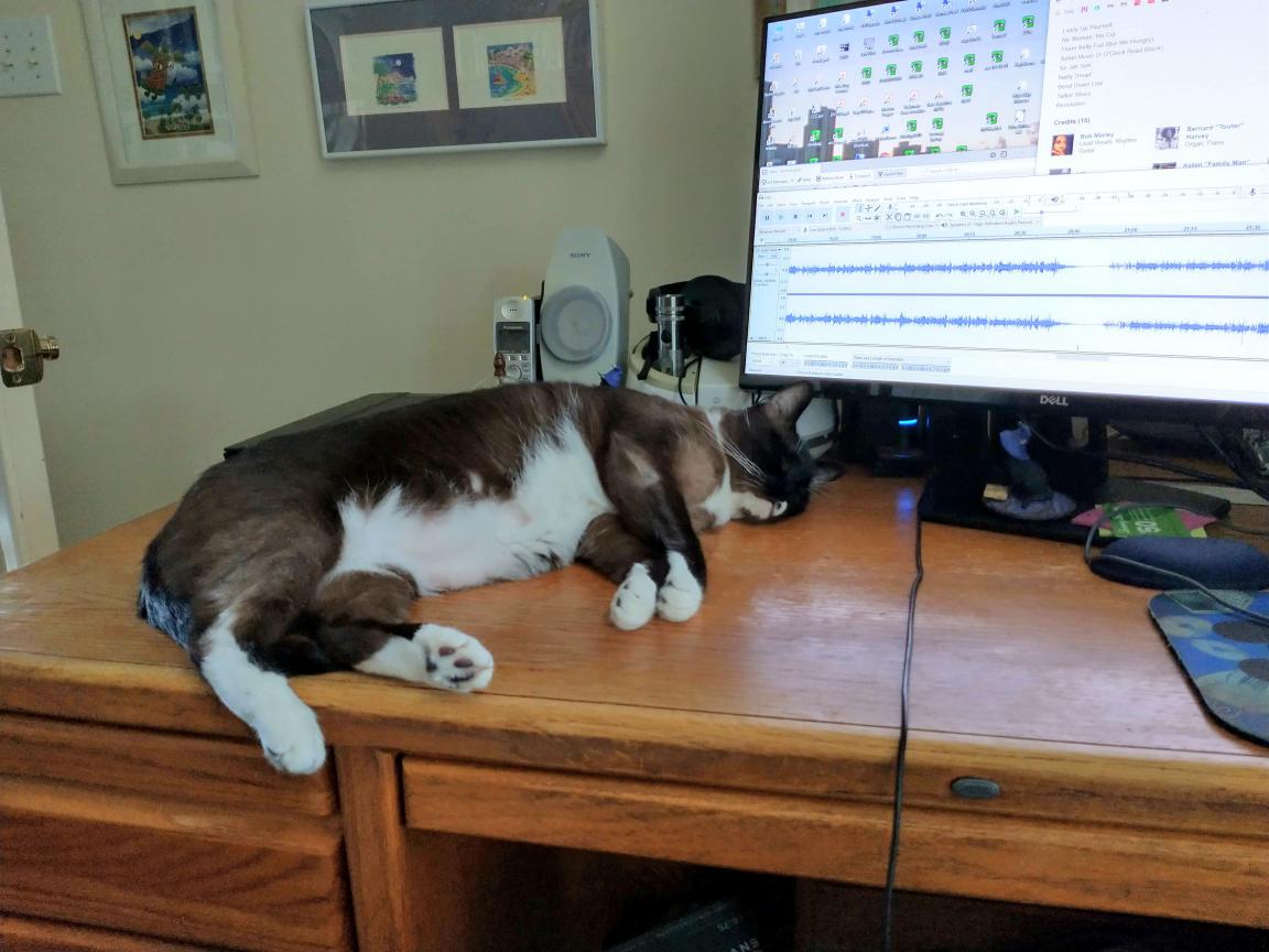 click for larger size