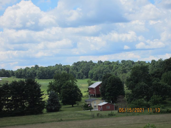 click for larger size