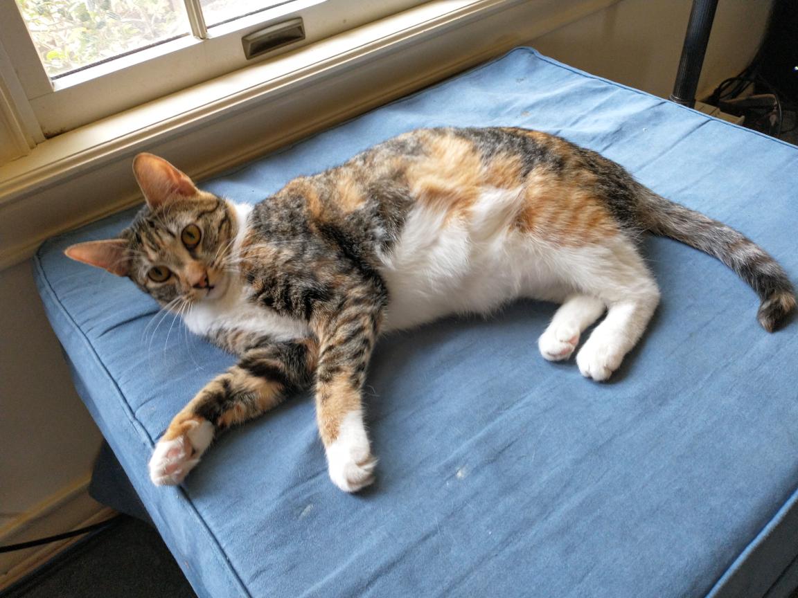 click for larger size