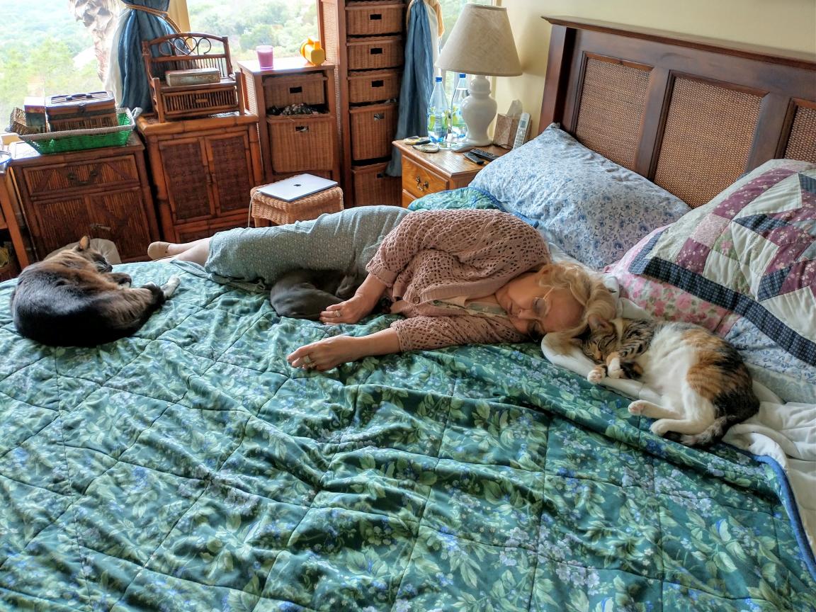 click for larger size