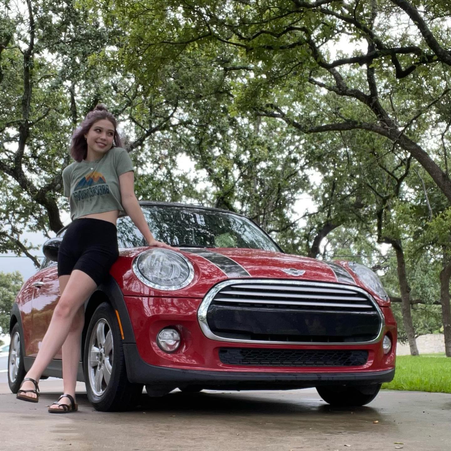 click for larger size