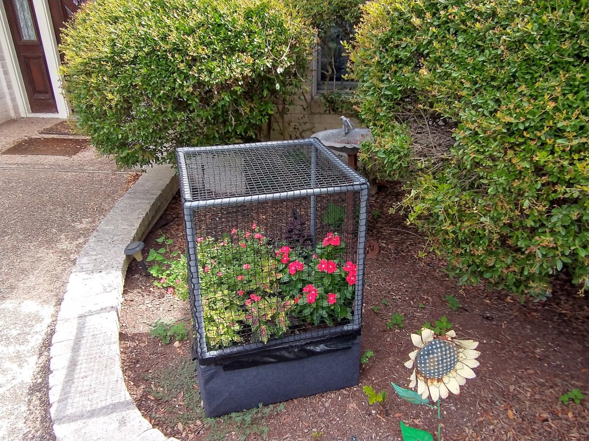 click for larger size