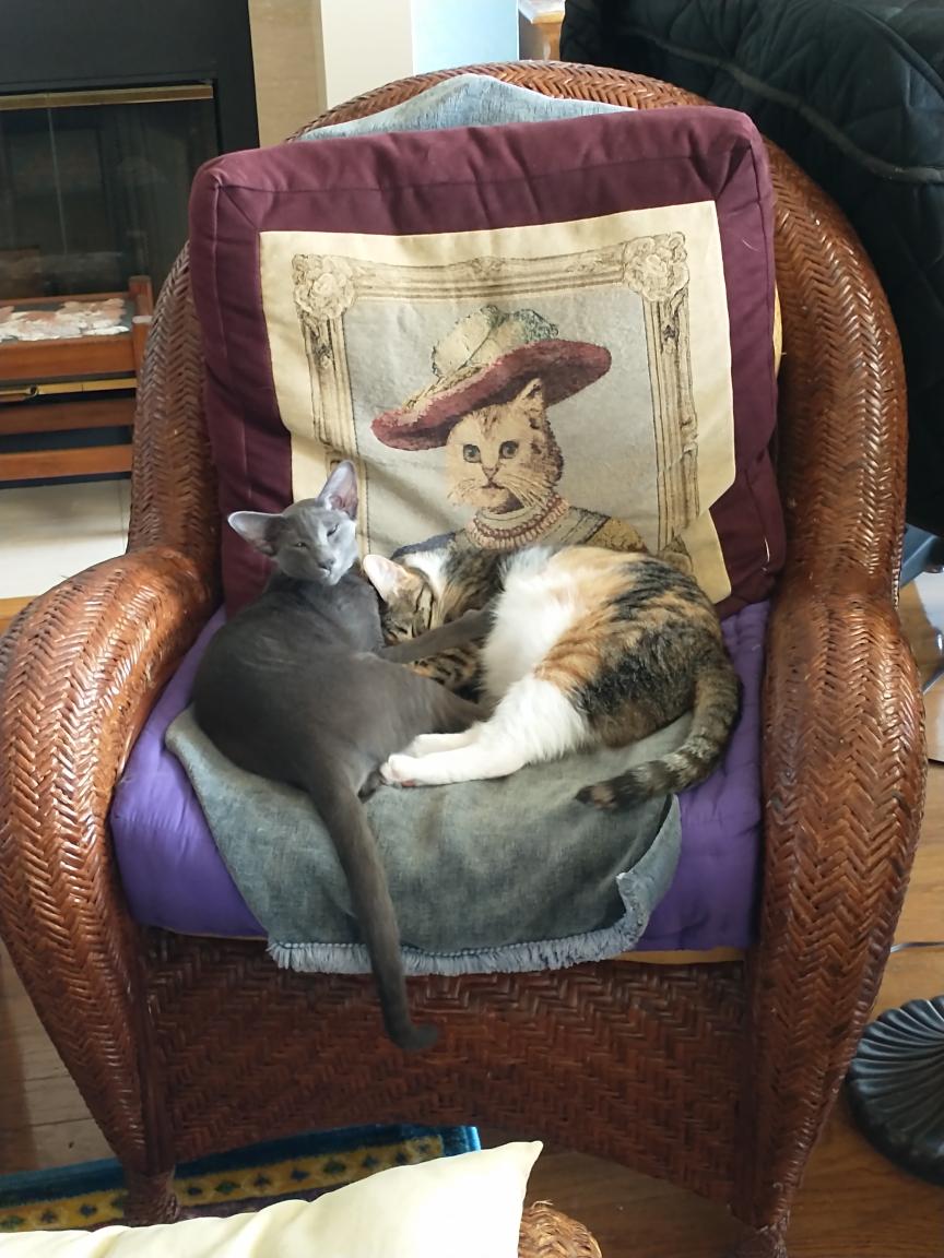 click for larger size