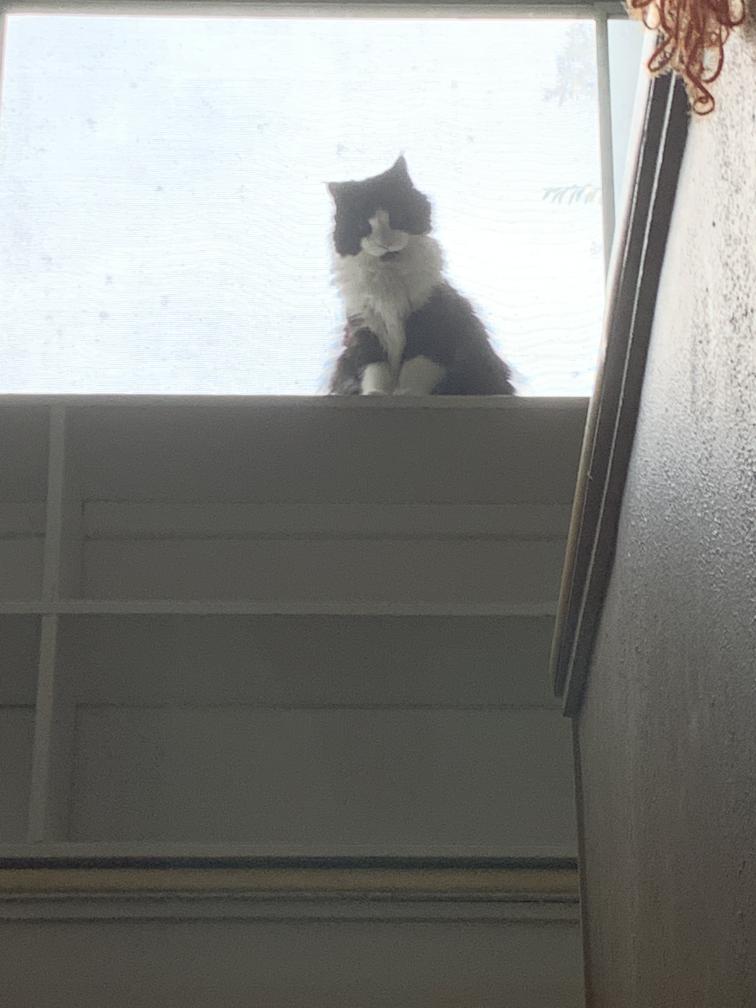 click for larger size