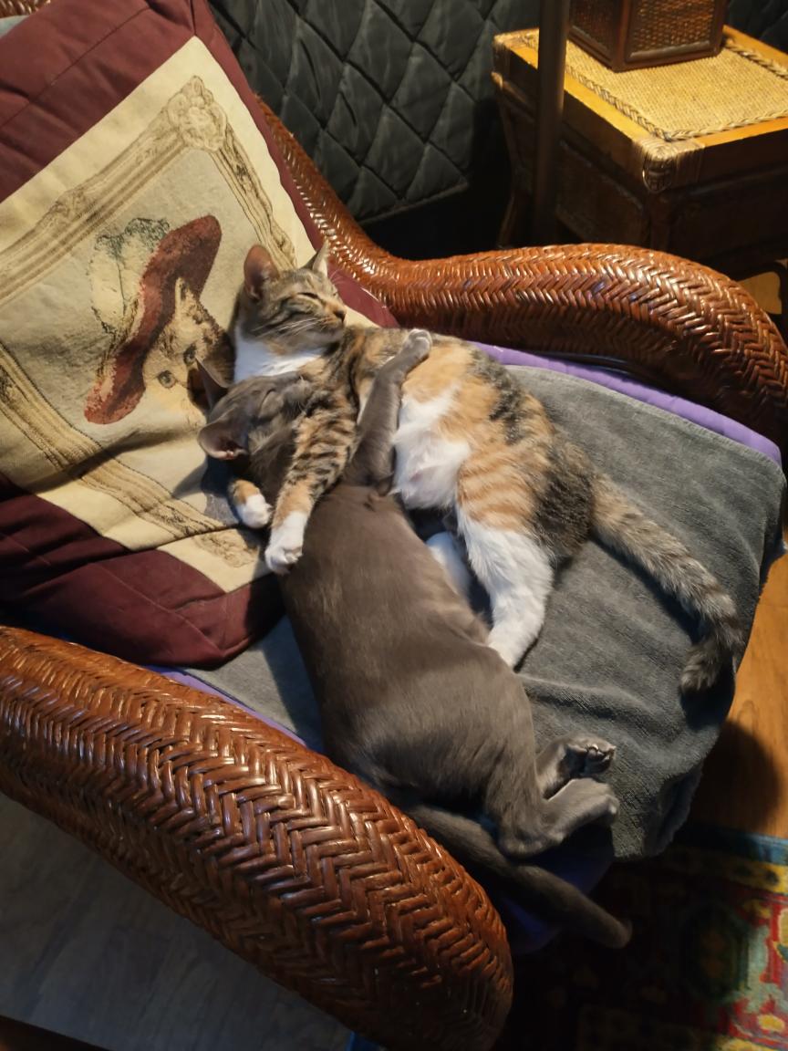 click for larger size