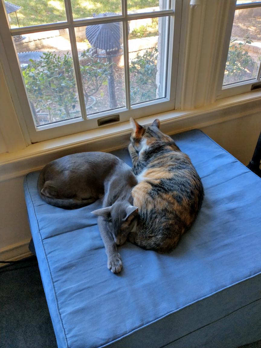 click for larger size