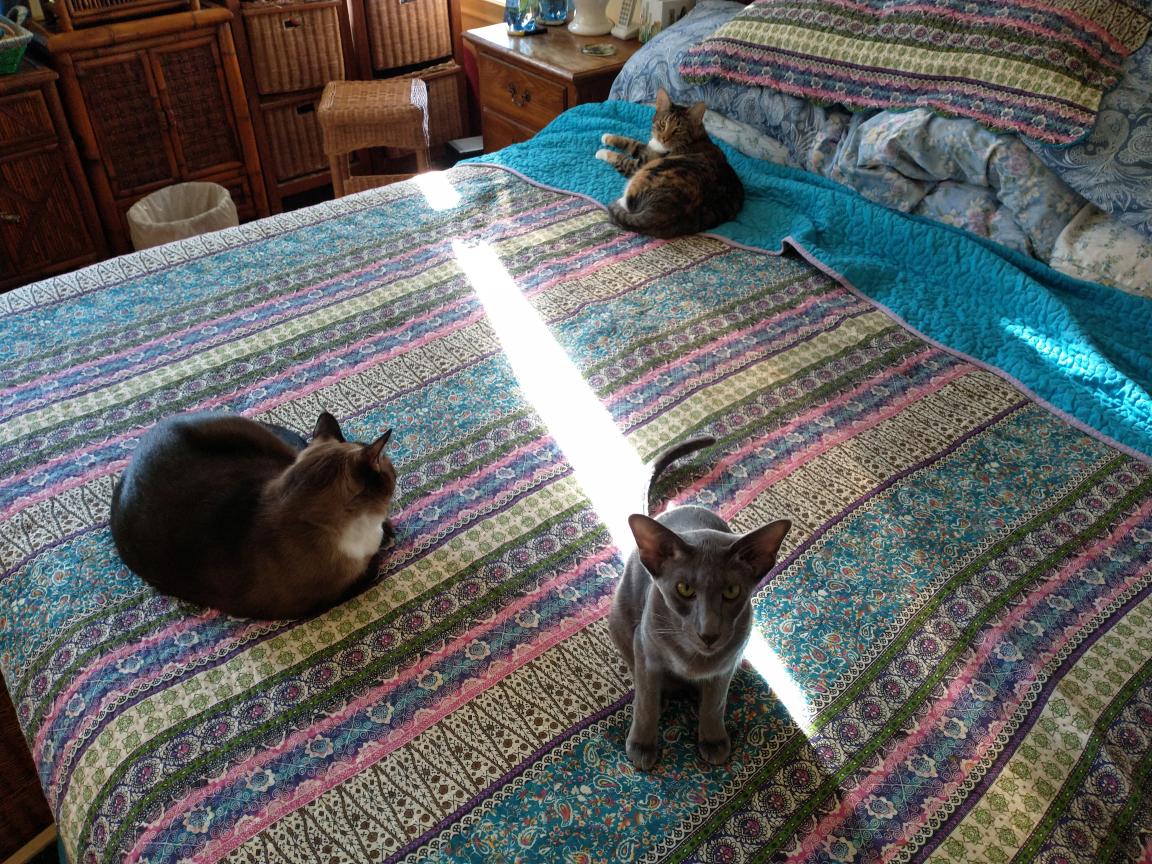 click for larger size