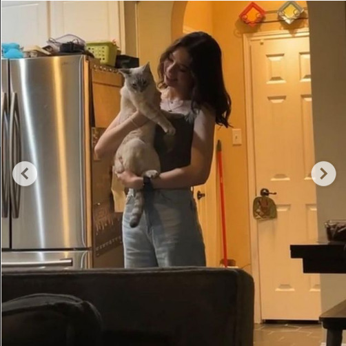 click for larger size