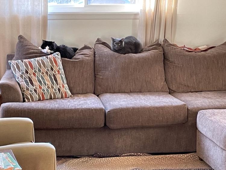 click for larger size