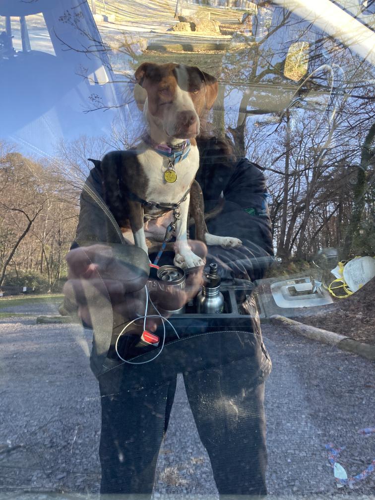 click for larger size